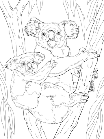 Koala With Baby Coloring Page